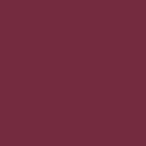 Allison Leotard Wine Velvet RTW