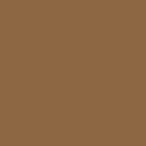 Eric Shorts Caramel RTW