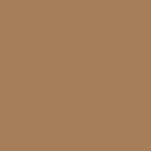Long High-Low Skirt Latte Mesh RTW