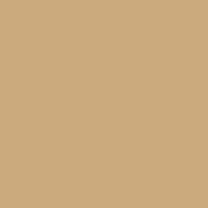 Eric Shorts Tan RTW