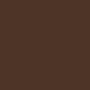 Eric Shorts Coffee RTW